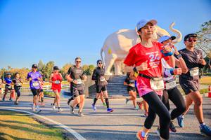 BIB: 
                            <button type="button" onclick="openModal(26186498)" class="btn btn-primary btn-sm float-right btn-popup" data-toggle="modal" data-target=".modal-high-quality">
                        <i class="fas fa-shopping-cart"></i> Add to Cart
                    </button>
                                            <button type="button" onclick="isThisMe(26186498, true)" class="btn btn-success btn-sm float-right btn-popup btn-isme hidden" data-toggle="tooltip" data-placement="bottom" title="นี่คือรูปของคุณใช่ไหม คลิกที่นี่เพื่อเอาเข้าอัลบั้ม">
                        <i class="fas fa-plus"></i> Add to album
                    </button>
                    <button type="button" onclick="isThisMe(26186498, false)" class="btn btn-warning btn-sm float-right btn-popup btn-isnotme hidden">
                        <i class="fas fa-ban"></i> Remove from album
                    </button>