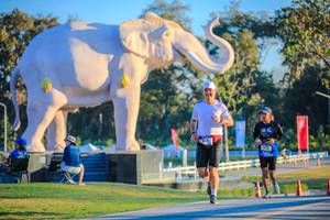 BIB: 
                            <button type="button" onclick="openModal(26183759)" class="btn btn-primary btn-sm float-right btn-popup" data-toggle="modal" data-target=".modal-high-quality">
                        <i class="fas fa-shopping-cart"></i> Add to Cart
                    </button>
                                            <button type="button" onclick="isThisMe(26183759, true)" class="btn btn-success btn-sm float-right btn-popup btn-isme hidden" data-toggle="tooltip" data-placement="bottom" title="นี่คือรูปของคุณใช่ไหม คลิกที่นี่เพื่อเอาเข้าอัลบั้ม">
                        <i class="fas fa-plus"></i> Add to album
                    </button>
                    <button type="button" onclick="isThisMe(26183759, false)" class="btn btn-warning btn-sm float-right btn-popup btn-isnotme hidden">
                        <i class="fas fa-ban"></i> Remove from album
                    </button>