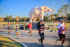 BIB: 
                            <button type="button" onclick="openModal(26186578)" class="btn btn-primary btn-sm float-right btn-popup" data-toggle="modal" data-target=".modal-high-quality">
                        <i class="fas fa-shopping-cart"></i> Add to Cart
                    </button>
                                            <button type="button" onclick="isThisMe(26186578, true)" class="btn btn-success btn-sm float-right btn-popup btn-isme hidden" data-toggle="tooltip" data-placement="bottom" title="นี่คือรูปของคุณใช่ไหม คลิกที่นี่เพื่อเอาเข้าอัลบั้ม">
                        <i class="fas fa-plus"></i> Add to album
                    </button>
                    <button type="button" onclick="isThisMe(26186578, false)" class="btn btn-warning btn-sm float-right btn-popup btn-isnotme hidden">
                        <i class="fas fa-ban"></i> Remove from album
                    </button>