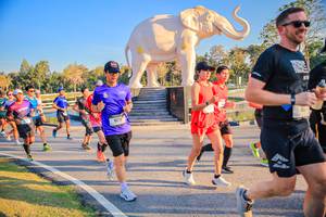 BIB: 
                            <button type="button" onclick="openModal(26186504)" class="btn btn-primary btn-sm float-right btn-popup" data-toggle="modal" data-target=".modal-high-quality">
                        <i class="fas fa-shopping-cart"></i> Add to Cart
                    </button>
                                            <button type="button" onclick="isThisMe(26186504, true)" class="btn btn-success btn-sm float-right btn-popup btn-isme hidden" data-toggle="tooltip" data-placement="bottom" title="นี่คือรูปของคุณใช่ไหม คลิกที่นี่เพื่อเอาเข้าอัลบั้ม">
                        <i class="fas fa-plus"></i> Add to album
                    </button>
                    <button type="button" onclick="isThisMe(26186504, false)" class="btn btn-warning btn-sm float-right btn-popup btn-isnotme hidden">
                        <i class="fas fa-ban"></i> Remove from album
                    </button>