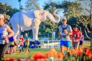 BIB: 
                            <button type="button" onclick="openModal(26184033)" class="btn btn-primary btn-sm float-right btn-popup" data-toggle="modal" data-target=".modal-high-quality">
                        <i class="fas fa-shopping-cart"></i> Add to Cart
                    </button>
                                            <button type="button" onclick="isThisMe(26184033, true)" class="btn btn-success btn-sm float-right btn-popup btn-isme hidden" data-toggle="tooltip" data-placement="bottom" title="นี่คือรูปของคุณใช่ไหม คลิกที่นี่เพื่อเอาเข้าอัลบั้ม">
                        <i class="fas fa-plus"></i> Add to album
                    </button>
                    <button type="button" onclick="isThisMe(26184033, false)" class="btn btn-warning btn-sm float-right btn-popup btn-isnotme hidden">
                        <i class="fas fa-ban"></i> Remove from album
                    </button>