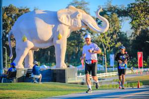 BIB: 
                            <button type="button" onclick="openModal(26183760)" class="btn btn-primary btn-sm float-right btn-popup" data-toggle="modal" data-target=".modal-high-quality">
                        <i class="fas fa-shopping-cart"></i> Add to Cart
                    </button>
                                            <button type="button" onclick="isThisMe(26183760, true)" class="btn btn-success btn-sm float-right btn-popup btn-isme hidden" data-toggle="tooltip" data-placement="bottom" title="นี่คือรูปของคุณใช่ไหม คลิกที่นี่เพื่อเอาเข้าอัลบั้ม">
                        <i class="fas fa-plus"></i> Add to album
                    </button>
                    <button type="button" onclick="isThisMe(26183760, false)" class="btn btn-warning btn-sm float-right btn-popup btn-isnotme hidden">
                        <i class="fas fa-ban"></i> Remove from album
                    </button>