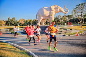 BIB: 
                            <button type="button" onclick="openModal(26186566)" class="btn btn-primary btn-sm float-right btn-popup" data-toggle="modal" data-target=".modal-high-quality">
                        <i class="fas fa-shopping-cart"></i> Add to Cart
                    </button>
                                            <button type="button" onclick="isThisMe(26186566, true)" class="btn btn-success btn-sm float-right btn-popup btn-isme hidden" data-toggle="tooltip" data-placement="bottom" title="นี่คือรูปของคุณใช่ไหม คลิกที่นี่เพื่อเอาเข้าอัลบั้ม">
                        <i class="fas fa-plus"></i> Add to album
                    </button>
                    <button type="button" onclick="isThisMe(26186566, false)" class="btn btn-warning btn-sm float-right btn-popup btn-isnotme hidden">
                        <i class="fas fa-ban"></i> Remove from album
                    </button>