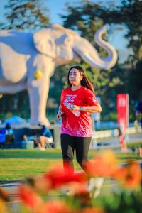 BIB: 
                            <button type="button" onclick="openModal(26183853)" class="btn btn-primary btn-sm float-right btn-popup" data-toggle="modal" data-target=".modal-high-quality">
                        <i class="fas fa-shopping-cart"></i> Add to Cart
                    </button>
                                            <button type="button" onclick="isThisMe(26183853, true)" class="btn btn-success btn-sm float-right btn-popup btn-isme hidden" data-toggle="tooltip" data-placement="bottom" title="นี่คือรูปของคุณใช่ไหม คลิกที่นี่เพื่อเอาเข้าอัลบั้ม">
                        <i class="fas fa-plus"></i> Add to album
                    </button>
                    <button type="button" onclick="isThisMe(26183853, false)" class="btn btn-warning btn-sm float-right btn-popup btn-isnotme hidden">
                        <i class="fas fa-ban"></i> Remove from album
                    </button>