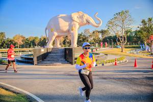 BIB: 
                            <button type="button" onclick="openModal(26186632)" class="btn btn-primary btn-sm float-right btn-popup" data-toggle="modal" data-target=".modal-high-quality">
                        <i class="fas fa-shopping-cart"></i> Add to Cart
                    </button>
                                            <button type="button" onclick="isThisMe(26186632, true)" class="btn btn-success btn-sm float-right btn-popup btn-isme hidden" data-toggle="tooltip" data-placement="bottom" title="นี่คือรูปของคุณใช่ไหม คลิกที่นี่เพื่อเอาเข้าอัลบั้ม">
                        <i class="fas fa-plus"></i> Add to album
                    </button>
                    <button type="button" onclick="isThisMe(26186632, false)" class="btn btn-warning btn-sm float-right btn-popup btn-isnotme hidden">
                        <i class="fas fa-ban"></i> Remove from album
                    </button>