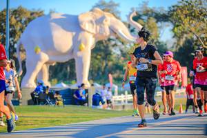 BIB: 
                            <button type="button" onclick="openModal(26183641)" class="btn btn-primary btn-sm float-right btn-popup" data-toggle="modal" data-target=".modal-high-quality">
                        <i class="fas fa-shopping-cart"></i> Add to Cart
                    </button>
                                            <button type="button" onclick="isThisMe(26183641, true)" class="btn btn-success btn-sm float-right btn-popup btn-isme hidden" data-toggle="tooltip" data-placement="bottom" title="นี่คือรูปของคุณใช่ไหม คลิกที่นี่เพื่อเอาเข้าอัลบั้ม">
                        <i class="fas fa-plus"></i> Add to album
                    </button>
                    <button type="button" onclick="isThisMe(26183641, false)" class="btn btn-warning btn-sm float-right btn-popup btn-isnotme hidden">
                        <i class="fas fa-ban"></i> Remove from album
                    </button>