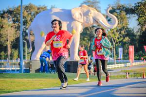 BIB: 
                            <button type="button" onclick="openModal(26183481)" class="btn btn-primary btn-sm float-right btn-popup" data-toggle="modal" data-target=".modal-high-quality">
                        <i class="fas fa-shopping-cart"></i> Add to Cart
                    </button>
                                            <button type="button" onclick="isThisMe(26183481, true)" class="btn btn-success btn-sm float-right btn-popup btn-isme hidden" data-toggle="tooltip" data-placement="bottom" title="นี่คือรูปของคุณใช่ไหม คลิกที่นี่เพื่อเอาเข้าอัลบั้ม">
                        <i class="fas fa-plus"></i> Add to album
                    </button>
                    <button type="button" onclick="isThisMe(26183481, false)" class="btn btn-warning btn-sm float-right btn-popup btn-isnotme hidden">
                        <i class="fas fa-ban"></i> Remove from album
                    </button>