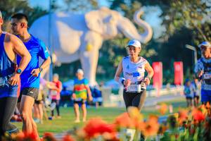 BIB: 
                            <button type="button" onclick="openModal(26184035)" class="btn btn-primary btn-sm float-right btn-popup" data-toggle="modal" data-target=".modal-high-quality">
                        <i class="fas fa-shopping-cart"></i> Add to Cart
                    </button>
                                            <button type="button" onclick="isThisMe(26184035, true)" class="btn btn-success btn-sm float-right btn-popup btn-isme hidden" data-toggle="tooltip" data-placement="bottom" title="นี่คือรูปของคุณใช่ไหม คลิกที่นี่เพื่อเอาเข้าอัลบั้ม">
                        <i class="fas fa-plus"></i> Add to album
                    </button>
                    <button type="button" onclick="isThisMe(26184035, false)" class="btn btn-warning btn-sm float-right btn-popup btn-isnotme hidden">
                        <i class="fas fa-ban"></i> Remove from album
                    </button>