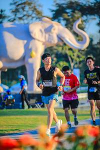 BIB: 
                            <button type="button" onclick="openModal(26183842)" class="btn btn-primary btn-sm float-right btn-popup" data-toggle="modal" data-target=".modal-high-quality">
                        <i class="fas fa-shopping-cart"></i> Add to Cart
                    </button>
                                            <button type="button" onclick="isThisMe(26183842, true)" class="btn btn-success btn-sm float-right btn-popup btn-isme hidden" data-toggle="tooltip" data-placement="bottom" title="นี่คือรูปของคุณใช่ไหม คลิกที่นี่เพื่อเอาเข้าอัลบั้ม">
                        <i class="fas fa-plus"></i> Add to album
                    </button>
                    <button type="button" onclick="isThisMe(26183842, false)" class="btn btn-warning btn-sm float-right btn-popup btn-isnotme hidden">
                        <i class="fas fa-ban"></i> Remove from album
                    </button>