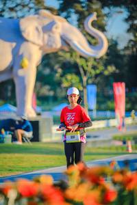 BIB: 
                            <button type="button" onclick="openModal(26183824)" class="btn btn-primary btn-sm float-right btn-popup" data-toggle="modal" data-target=".modal-high-quality">
                        <i class="fas fa-shopping-cart"></i> Add to Cart
                    </button>
                                            <button type="button" onclick="isThisMe(26183824, true)" class="btn btn-success btn-sm float-right btn-popup btn-isme hidden" data-toggle="tooltip" data-placement="bottom" title="นี่คือรูปของคุณใช่ไหม คลิกที่นี่เพื่อเอาเข้าอัลบั้ม">
                        <i class="fas fa-plus"></i> Add to album
                    </button>
                    <button type="button" onclick="isThisMe(26183824, false)" class="btn btn-warning btn-sm float-right btn-popup btn-isnotme hidden">
                        <i class="fas fa-ban"></i> Remove from album
                    </button>