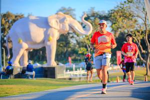 BIB: 
                            <button type="button" onclick="openModal(26183768)" class="btn btn-primary btn-sm float-right btn-popup" data-toggle="modal" data-target=".modal-high-quality">
                        <i class="fas fa-shopping-cart"></i> Add to Cart
                    </button>
                                            <button type="button" onclick="isThisMe(26183768, true)" class="btn btn-success btn-sm float-right btn-popup btn-isme hidden" data-toggle="tooltip" data-placement="bottom" title="นี่คือรูปของคุณใช่ไหม คลิกที่นี่เพื่อเอาเข้าอัลบั้ม">
                        <i class="fas fa-plus"></i> Add to album
                    </button>
                    <button type="button" onclick="isThisMe(26183768, false)" class="btn btn-warning btn-sm float-right btn-popup btn-isnotme hidden">
                        <i class="fas fa-ban"></i> Remove from album
                    </button>