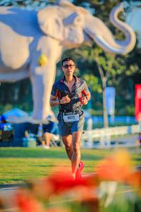 BIB: 
                            <button type="button" onclick="openModal(26183850)" class="btn btn-primary btn-sm float-right btn-popup" data-toggle="modal" data-target=".modal-high-quality">
                        <i class="fas fa-shopping-cart"></i> Add to Cart
                    </button>
                                            <button type="button" onclick="isThisMe(26183850, true)" class="btn btn-success btn-sm float-right btn-popup btn-isme hidden" data-toggle="tooltip" data-placement="bottom" title="นี่คือรูปของคุณใช่ไหม คลิกที่นี่เพื่อเอาเข้าอัลบั้ม">
                        <i class="fas fa-plus"></i> Add to album
                    </button>
                    <button type="button" onclick="isThisMe(26183850, false)" class="btn btn-warning btn-sm float-right btn-popup btn-isnotme hidden">
                        <i class="fas fa-ban"></i> Remove from album
                    </button>