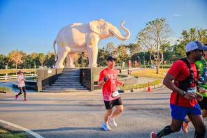 BIB: 
                            <button type="button" onclick="openModal(26186621)" class="btn btn-primary btn-sm float-right btn-popup" data-toggle="modal" data-target=".modal-high-quality">
                        <i class="fas fa-shopping-cart"></i> Add to Cart
                    </button>
                                            <button type="button" onclick="isThisMe(26186621, true)" class="btn btn-success btn-sm float-right btn-popup btn-isme hidden" data-toggle="tooltip" data-placement="bottom" title="นี่คือรูปของคุณใช่ไหม คลิกที่นี่เพื่อเอาเข้าอัลบั้ม">
                        <i class="fas fa-plus"></i> Add to album
                    </button>
                    <button type="button" onclick="isThisMe(26186621, false)" class="btn btn-warning btn-sm float-right btn-popup btn-isnotme hidden">
                        <i class="fas fa-ban"></i> Remove from album
                    </button>