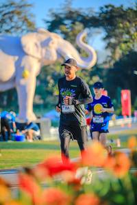 BIB: 
                            <button type="button" onclick="openModal(26183858)" class="btn btn-primary btn-sm float-right btn-popup" data-toggle="modal" data-target=".modal-high-quality">
                        <i class="fas fa-shopping-cart"></i> Add to Cart
                    </button>
                                            <button type="button" onclick="isThisMe(26183858, true)" class="btn btn-success btn-sm float-right btn-popup btn-isme hidden" data-toggle="tooltip" data-placement="bottom" title="นี่คือรูปของคุณใช่ไหม คลิกที่นี่เพื่อเอาเข้าอัลบั้ม">
                        <i class="fas fa-plus"></i> Add to album
                    </button>
                    <button type="button" onclick="isThisMe(26183858, false)" class="btn btn-warning btn-sm float-right btn-popup btn-isnotme hidden">
                        <i class="fas fa-ban"></i> Remove from album
                    </button>