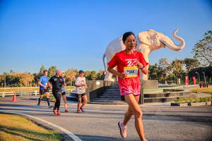 BIB: 
                            <button type="button" onclick="openModal(26186461)" class="btn btn-primary btn-sm float-right btn-popup" data-toggle="modal" data-target=".modal-high-quality">
                        <i class="fas fa-shopping-cart"></i> Add to Cart
                    </button>
                                            <button type="button" onclick="isThisMe(26186461, true)" class="btn btn-success btn-sm float-right btn-popup btn-isme hidden" data-toggle="tooltip" data-placement="bottom" title="นี่คือรูปของคุณใช่ไหม คลิกที่นี่เพื่อเอาเข้าอัลบั้ม">
                        <i class="fas fa-plus"></i> Add to album
                    </button>
                    <button type="button" onclick="isThisMe(26186461, false)" class="btn btn-warning btn-sm float-right btn-popup btn-isnotme hidden">
                        <i class="fas fa-ban"></i> Remove from album
                    </button>