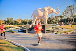 BIB: 
                            <button type="button" onclick="openModal(26186650)" class="btn btn-primary btn-sm float-right btn-popup" data-toggle="modal" data-target=".modal-high-quality">
                        <i class="fas fa-shopping-cart"></i> Add to Cart
                    </button>
                                            <button type="button" onclick="isThisMe(26186650, true)" class="btn btn-success btn-sm float-right btn-popup btn-isme hidden" data-toggle="tooltip" data-placement="bottom" title="นี่คือรูปของคุณใช่ไหม คลิกที่นี่เพื่อเอาเข้าอัลบั้ม">
                        <i class="fas fa-plus"></i> Add to album
                    </button>
                    <button type="button" onclick="isThisMe(26186650, false)" class="btn btn-warning btn-sm float-right btn-popup btn-isnotme hidden">
                        <i class="fas fa-ban"></i> Remove from album
                    </button>