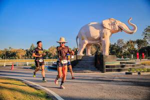 BIB: 
                            <button type="button" onclick="openModal(26186404)" class="btn btn-primary btn-sm float-right btn-popup" data-toggle="modal" data-target=".modal-high-quality">
                        <i class="fas fa-shopping-cart"></i> Add to Cart
                    </button>
                                            <button type="button" onclick="isThisMe(26186404, true)" class="btn btn-success btn-sm float-right btn-popup btn-isme hidden" data-toggle="tooltip" data-placement="bottom" title="นี่คือรูปของคุณใช่ไหม คลิกที่นี่เพื่อเอาเข้าอัลบั้ม">
                        <i class="fas fa-plus"></i> Add to album
                    </button>
                    <button type="button" onclick="isThisMe(26186404, false)" class="btn btn-warning btn-sm float-right btn-popup btn-isnotme hidden">
                        <i class="fas fa-ban"></i> Remove from album
                    </button>