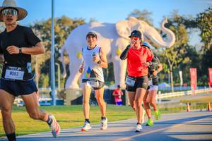 BIB: 
                            <button type="button" onclick="openModal(26183529)" class="btn btn-primary btn-sm float-right btn-popup" data-toggle="modal" data-target=".modal-high-quality">
                        <i class="fas fa-shopping-cart"></i> Add to Cart
                    </button>
                                            <button type="button" onclick="isThisMe(26183529, true)" class="btn btn-success btn-sm float-right btn-popup btn-isme hidden" data-toggle="tooltip" data-placement="bottom" title="นี่คือรูปของคุณใช่ไหม คลิกที่นี่เพื่อเอาเข้าอัลบั้ม">
                        <i class="fas fa-plus"></i> Add to album
                    </button>
                    <button type="button" onclick="isThisMe(26183529, false)" class="btn btn-warning btn-sm float-right btn-popup btn-isnotme hidden">
                        <i class="fas fa-ban"></i> Remove from album
                    </button>