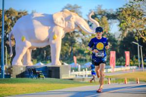 BIB: 
                            <button type="button" onclick="openModal(26183505)" class="btn btn-primary btn-sm float-right btn-popup" data-toggle="modal" data-target=".modal-high-quality">
                        <i class="fas fa-shopping-cart"></i> Add to Cart
                    </button>
                                            <button type="button" onclick="isThisMe(26183505, true)" class="btn btn-success btn-sm float-right btn-popup btn-isme hidden" data-toggle="tooltip" data-placement="bottom" title="นี่คือรูปของคุณใช่ไหม คลิกที่นี่เพื่อเอาเข้าอัลบั้ม">
                        <i class="fas fa-plus"></i> Add to album
                    </button>
                    <button type="button" onclick="isThisMe(26183505, false)" class="btn btn-warning btn-sm float-right btn-popup btn-isnotme hidden">
                        <i class="fas fa-ban"></i> Remove from album
                    </button>