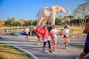 BIB: 
                            <button type="button" onclick="openModal(26186568)" class="btn btn-primary btn-sm float-right btn-popup" data-toggle="modal" data-target=".modal-high-quality">
                        <i class="fas fa-shopping-cart"></i> Add to Cart
                    </button>
                                            <button type="button" onclick="isThisMe(26186568, true)" class="btn btn-success btn-sm float-right btn-popup btn-isme hidden" data-toggle="tooltip" data-placement="bottom" title="นี่คือรูปของคุณใช่ไหม คลิกที่นี่เพื่อเอาเข้าอัลบั้ม">
                        <i class="fas fa-plus"></i> Add to album
                    </button>
                    <button type="button" onclick="isThisMe(26186568, false)" class="btn btn-warning btn-sm float-right btn-popup btn-isnotme hidden">
                        <i class="fas fa-ban"></i> Remove from album
                    </button>