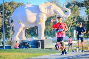 BIB: 
                            <button type="button" onclick="openModal(26183400)" class="btn btn-primary btn-sm float-right btn-popup" data-toggle="modal" data-target=".modal-high-quality">
                        <i class="fas fa-shopping-cart"></i> Add to Cart
                    </button>
                                            <button type="button" onclick="isThisMe(26183400, true)" class="btn btn-success btn-sm float-right btn-popup btn-isme hidden" data-toggle="tooltip" data-placement="bottom" title="นี่คือรูปของคุณใช่ไหม คลิกที่นี่เพื่อเอาเข้าอัลบั้ม">
                        <i class="fas fa-plus"></i> Add to album
                    </button>
                    <button type="button" onclick="isThisMe(26183400, false)" class="btn btn-warning btn-sm float-right btn-popup btn-isnotme hidden">
                        <i class="fas fa-ban"></i> Remove from album
                    </button>