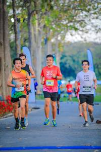 BIB: 
                            <button type="button" onclick="openModal(26184350)" class="btn btn-primary btn-sm float-right btn-popup" data-toggle="modal" data-target=".modal-high-quality">
                        <i class="fas fa-shopping-cart"></i> Add to Cart
                    </button>
                                            <button type="button" onclick="isThisMe(26184350, true)" class="btn btn-success btn-sm float-right btn-popup btn-isme hidden" data-toggle="tooltip" data-placement="bottom" title="นี่คือรูปของคุณใช่ไหม คลิกที่นี่เพื่อเอาเข้าอัลบั้ม">
                        <i class="fas fa-plus"></i> Add to album
                    </button>
                    <button type="button" onclick="isThisMe(26184350, false)" class="btn btn-warning btn-sm float-right btn-popup btn-isnotme hidden">
                        <i class="fas fa-ban"></i> Remove from album
                    </button>