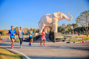 BIB: 
                            <button type="button" onclick="openModal(26186481)" class="btn btn-primary btn-sm float-right btn-popup" data-toggle="modal" data-target=".modal-high-quality">
                        <i class="fas fa-shopping-cart"></i> Add to Cart
                    </button>
                                            <button type="button" onclick="isThisMe(26186481, true)" class="btn btn-success btn-sm float-right btn-popup btn-isme hidden" data-toggle="tooltip" data-placement="bottom" title="นี่คือรูปของคุณใช่ไหม คลิกที่นี่เพื่อเอาเข้าอัลบั้ม">
                        <i class="fas fa-plus"></i> Add to album
                    </button>
                    <button type="button" onclick="isThisMe(26186481, false)" class="btn btn-warning btn-sm float-right btn-popup btn-isnotme hidden">
                        <i class="fas fa-ban"></i> Remove from album
                    </button>