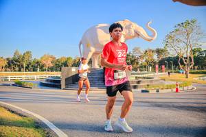 BIB: 
                            <button type="button" onclick="openModal(26186487)" class="btn btn-primary btn-sm float-right btn-popup" data-toggle="modal" data-target=".modal-high-quality">
                        <i class="fas fa-shopping-cart"></i> Add to Cart
                    </button>
                                            <button type="button" onclick="isThisMe(26186487, true)" class="btn btn-success btn-sm float-right btn-popup btn-isme hidden" data-toggle="tooltip" data-placement="bottom" title="นี่คือรูปของคุณใช่ไหม คลิกที่นี่เพื่อเอาเข้าอัลบั้ม">
                        <i class="fas fa-plus"></i> Add to album
                    </button>
                    <button type="button" onclick="isThisMe(26186487, false)" class="btn btn-warning btn-sm float-right btn-popup btn-isnotme hidden">
                        <i class="fas fa-ban"></i> Remove from album
                    </button>