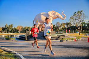 BIB: 
                            <button type="button" onclick="openModal(26186427)" class="btn btn-primary btn-sm float-right btn-popup" data-toggle="modal" data-target=".modal-high-quality">
                        <i class="fas fa-shopping-cart"></i> Add to Cart
                    </button>
                                            <button type="button" onclick="isThisMe(26186427, true)" class="btn btn-success btn-sm float-right btn-popup btn-isme hidden" data-toggle="tooltip" data-placement="bottom" title="นี่คือรูปของคุณใช่ไหม คลิกที่นี่เพื่อเอาเข้าอัลบั้ม">
                        <i class="fas fa-plus"></i> Add to album
                    </button>
                    <button type="button" onclick="isThisMe(26186427, false)" class="btn btn-warning btn-sm float-right btn-popup btn-isnotme hidden">
                        <i class="fas fa-ban"></i> Remove from album
                    </button>