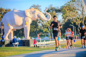 BIB: 
                            <button type="button" onclick="openModal(26183748)" class="btn btn-primary btn-sm float-right btn-popup" data-toggle="modal" data-target=".modal-high-quality">
                        <i class="fas fa-shopping-cart"></i> Add to Cart
                    </button>
                                            <button type="button" onclick="isThisMe(26183748, true)" class="btn btn-success btn-sm float-right btn-popup btn-isme hidden" data-toggle="tooltip" data-placement="bottom" title="นี่คือรูปของคุณใช่ไหม คลิกที่นี่เพื่อเอาเข้าอัลบั้ม">
                        <i class="fas fa-plus"></i> Add to album
                    </button>
                    <button type="button" onclick="isThisMe(26183748, false)" class="btn btn-warning btn-sm float-right btn-popup btn-isnotme hidden">
                        <i class="fas fa-ban"></i> Remove from album
                    </button>