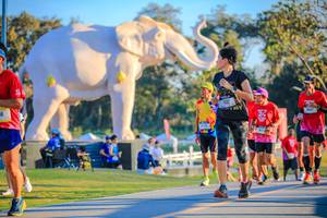 BIB: 
                            <button type="button" onclick="openModal(26183642)" class="btn btn-primary btn-sm float-right btn-popup" data-toggle="modal" data-target=".modal-high-quality">
                        <i class="fas fa-shopping-cart"></i> Add to Cart
                    </button>
                                            <button type="button" onclick="isThisMe(26183642, true)" class="btn btn-success btn-sm float-right btn-popup btn-isme hidden" data-toggle="tooltip" data-placement="bottom" title="นี่คือรูปของคุณใช่ไหม คลิกที่นี่เพื่อเอาเข้าอัลบั้ม">
                        <i class="fas fa-plus"></i> Add to album
                    </button>
                    <button type="button" onclick="isThisMe(26183642, false)" class="btn btn-warning btn-sm float-right btn-popup btn-isnotme hidden">
                        <i class="fas fa-ban"></i> Remove from album
                    </button>