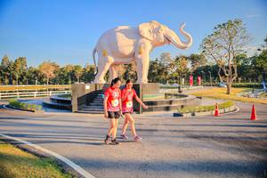 BIB: 
                            <button type="button" onclick="openModal(26186675)" class="btn btn-primary btn-sm float-right btn-popup" data-toggle="modal" data-target=".modal-high-quality">
                        <i class="fas fa-shopping-cart"></i> Add to Cart
                    </button>
                                            <button type="button" onclick="isThisMe(26186675, true)" class="btn btn-success btn-sm float-right btn-popup btn-isme hidden" data-toggle="tooltip" data-placement="bottom" title="นี่คือรูปของคุณใช่ไหม คลิกที่นี่เพื่อเอาเข้าอัลบั้ม">
                        <i class="fas fa-plus"></i> Add to album
                    </button>
                    <button type="button" onclick="isThisMe(26186675, false)" class="btn btn-warning btn-sm float-right btn-popup btn-isnotme hidden">
                        <i class="fas fa-ban"></i> Remove from album
                    </button>