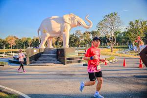 BIB: 
                            <button type="button" onclick="openModal(26186622)" class="btn btn-primary btn-sm float-right btn-popup" data-toggle="modal" data-target=".modal-high-quality">
                        <i class="fas fa-shopping-cart"></i> Add to Cart
                    </button>
                                            <button type="button" onclick="isThisMe(26186622, true)" class="btn btn-success btn-sm float-right btn-popup btn-isme hidden" data-toggle="tooltip" data-placement="bottom" title="นี่คือรูปของคุณใช่ไหม คลิกที่นี่เพื่อเอาเข้าอัลบั้ม">
                        <i class="fas fa-plus"></i> Add to album
                    </button>
                    <button type="button" onclick="isThisMe(26186622, false)" class="btn btn-warning btn-sm float-right btn-popup btn-isnotme hidden">
                        <i class="fas fa-ban"></i> Remove from album
                    </button>