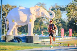 BIB: 
                            <button type="button" onclick="openModal(26183418)" class="btn btn-primary btn-sm float-right btn-popup" data-toggle="modal" data-target=".modal-high-quality">
                        <i class="fas fa-shopping-cart"></i> Add to Cart
                    </button>
                                            <button type="button" onclick="isThisMe(26183418, true)" class="btn btn-success btn-sm float-right btn-popup btn-isme hidden" data-toggle="tooltip" data-placement="bottom" title="นี่คือรูปของคุณใช่ไหม คลิกที่นี่เพื่อเอาเข้าอัลบั้ม">
                        <i class="fas fa-plus"></i> Add to album
                    </button>
                    <button type="button" onclick="isThisMe(26183418, false)" class="btn btn-warning btn-sm float-right btn-popup btn-isnotme hidden">
                        <i class="fas fa-ban"></i> Remove from album
                    </button>