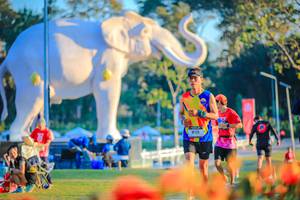 BIB: 
                            <button type="button" onclick="openModal(26183987)" class="btn btn-primary btn-sm float-right btn-popup" data-toggle="modal" data-target=".modal-high-quality">
                        <i class="fas fa-shopping-cart"></i> Add to Cart
                    </button>
                                            <button type="button" onclick="isThisMe(26183987, true)" class="btn btn-success btn-sm float-right btn-popup btn-isme hidden" data-toggle="tooltip" data-placement="bottom" title="นี่คือรูปของคุณใช่ไหม คลิกที่นี่เพื่อเอาเข้าอัลบั้ม">
                        <i class="fas fa-plus"></i> Add to album
                    </button>
                    <button type="button" onclick="isThisMe(26183987, false)" class="btn btn-warning btn-sm float-right btn-popup btn-isnotme hidden">
                        <i class="fas fa-ban"></i> Remove from album
                    </button>