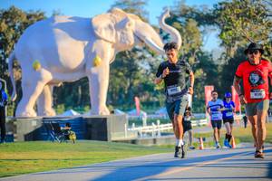 BIB: 
                            <button type="button" onclick="openModal(26183600)" class="btn btn-primary btn-sm float-right btn-popup" data-toggle="modal" data-target=".modal-high-quality">
                        <i class="fas fa-shopping-cart"></i> Add to Cart
                    </button>
                                            <button type="button" onclick="isThisMe(26183600, true)" class="btn btn-success btn-sm float-right btn-popup btn-isme hidden" data-toggle="tooltip" data-placement="bottom" title="นี่คือรูปของคุณใช่ไหม คลิกที่นี่เพื่อเอาเข้าอัลบั้ม">
                        <i class="fas fa-plus"></i> Add to album
                    </button>
                    <button type="button" onclick="isThisMe(26183600, false)" class="btn btn-warning btn-sm float-right btn-popup btn-isnotme hidden">
                        <i class="fas fa-ban"></i> Remove from album
                    </button>