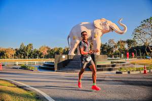 BIB: 
                            <button type="button" onclick="openModal(26186412)" class="btn btn-primary btn-sm float-right btn-popup" data-toggle="modal" data-target=".modal-high-quality">
                        <i class="fas fa-shopping-cart"></i> Add to Cart
                    </button>
                                            <button type="button" onclick="isThisMe(26186412, true)" class="btn btn-success btn-sm float-right btn-popup btn-isme hidden" data-toggle="tooltip" data-placement="bottom" title="นี่คือรูปของคุณใช่ไหม คลิกที่นี่เพื่อเอาเข้าอัลบั้ม">
                        <i class="fas fa-plus"></i> Add to album
                    </button>
                    <button type="button" onclick="isThisMe(26186412, false)" class="btn btn-warning btn-sm float-right btn-popup btn-isnotme hidden">
                        <i class="fas fa-ban"></i> Remove from album
                    </button>