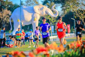 BIB: 
                            <button type="button" onclick="openModal(26184040)" class="btn btn-primary btn-sm float-right btn-popup" data-toggle="modal" data-target=".modal-high-quality">
                        <i class="fas fa-shopping-cart"></i> Add to Cart
                    </button>
                                            <button type="button" onclick="isThisMe(26184040, true)" class="btn btn-success btn-sm float-right btn-popup btn-isme hidden" data-toggle="tooltip" data-placement="bottom" title="นี่คือรูปของคุณใช่ไหม คลิกที่นี่เพื่อเอาเข้าอัลบั้ม">
                        <i class="fas fa-plus"></i> Add to album
                    </button>
                    <button type="button" onclick="isThisMe(26184040, false)" class="btn btn-warning btn-sm float-right btn-popup btn-isnotme hidden">
                        <i class="fas fa-ban"></i> Remove from album
                    </button>