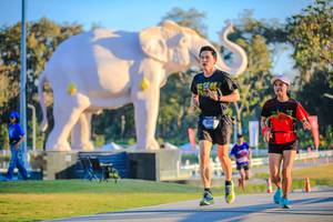 BIB: 
                            <button type="button" onclick="openModal(26183487)" class="btn btn-primary btn-sm float-right btn-popup" data-toggle="modal" data-target=".modal-high-quality">
                        <i class="fas fa-shopping-cart"></i> Add to Cart
                    </button>
                                            <button type="button" onclick="isThisMe(26183487, true)" class="btn btn-success btn-sm float-right btn-popup btn-isme hidden" data-toggle="tooltip" data-placement="bottom" title="นี่คือรูปของคุณใช่ไหม คลิกที่นี่เพื่อเอาเข้าอัลบั้ม">
                        <i class="fas fa-plus"></i> Add to album
                    </button>
                    <button type="button" onclick="isThisMe(26183487, false)" class="btn btn-warning btn-sm float-right btn-popup btn-isnotme hidden">
                        <i class="fas fa-ban"></i> Remove from album
                    </button>