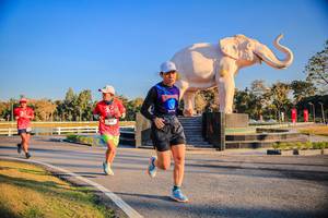 BIB: 
                            <button type="button" onclick="openModal(26186436)" class="btn btn-primary btn-sm float-right btn-popup" data-toggle="modal" data-target=".modal-high-quality">
                        <i class="fas fa-shopping-cart"></i> Add to Cart
                    </button>
                                            <button type="button" onclick="isThisMe(26186436, true)" class="btn btn-success btn-sm float-right btn-popup btn-isme hidden" data-toggle="tooltip" data-placement="bottom" title="นี่คือรูปของคุณใช่ไหม คลิกที่นี่เพื่อเอาเข้าอัลบั้ม">
                        <i class="fas fa-plus"></i> Add to album
                    </button>
                    <button type="button" onclick="isThisMe(26186436, false)" class="btn btn-warning btn-sm float-right btn-popup btn-isnotme hidden">
                        <i class="fas fa-ban"></i> Remove from album
                    </button>