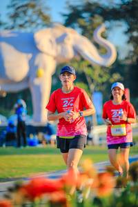 BIB: 
                            <button type="button" onclick="openModal(26183905)" class="btn btn-primary btn-sm float-right btn-popup" data-toggle="modal" data-target=".modal-high-quality">
                        <i class="fas fa-shopping-cart"></i> Add to Cart
                    </button>
                                            <button type="button" onclick="isThisMe(26183905, true)" class="btn btn-success btn-sm float-right btn-popup btn-isme hidden" data-toggle="tooltip" data-placement="bottom" title="นี่คือรูปของคุณใช่ไหม คลิกที่นี่เพื่อเอาเข้าอัลบั้ม">
                        <i class="fas fa-plus"></i> Add to album
                    </button>
                    <button type="button" onclick="isThisMe(26183905, false)" class="btn btn-warning btn-sm float-right btn-popup btn-isnotme hidden">
                        <i class="fas fa-ban"></i> Remove from album
                    </button>