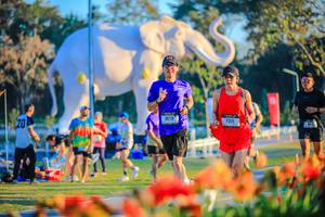 BIB: 
                            <button type="button" onclick="openModal(26184042)" class="btn btn-primary btn-sm float-right btn-popup" data-toggle="modal" data-target=".modal-high-quality">
                        <i class="fas fa-shopping-cart"></i> Add to Cart
                    </button>
                                            <button type="button" onclick="isThisMe(26184042, true)" class="btn btn-success btn-sm float-right btn-popup btn-isme hidden" data-toggle="tooltip" data-placement="bottom" title="นี่คือรูปของคุณใช่ไหม คลิกที่นี่เพื่อเอาเข้าอัลบั้ม">
                        <i class="fas fa-plus"></i> Add to album
                    </button>
                    <button type="button" onclick="isThisMe(26184042, false)" class="btn btn-warning btn-sm float-right btn-popup btn-isnotme hidden">
                        <i class="fas fa-ban"></i> Remove from album
                    </button>