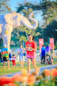 BIB: 
                            <button type="button" onclick="openModal(26183878)" class="btn btn-primary btn-sm float-right btn-popup" data-toggle="modal" data-target=".modal-high-quality">
                        <i class="fas fa-shopping-cart"></i> Add to Cart
                    </button>
                                            <button type="button" onclick="isThisMe(26183878, true)" class="btn btn-success btn-sm float-right btn-popup btn-isme hidden" data-toggle="tooltip" data-placement="bottom" title="นี่คือรูปของคุณใช่ไหม คลิกที่นี่เพื่อเอาเข้าอัลบั้ม">
                        <i class="fas fa-plus"></i> Add to album
                    </button>
                    <button type="button" onclick="isThisMe(26183878, false)" class="btn btn-warning btn-sm float-right btn-popup btn-isnotme hidden">
                        <i class="fas fa-ban"></i> Remove from album
                    </button>