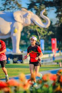 BIB: 
                            <button type="button" onclick="openModal(26183844)" class="btn btn-primary btn-sm float-right btn-popup" data-toggle="modal" data-target=".modal-high-quality">
                        <i class="fas fa-shopping-cart"></i> Add to Cart
                    </button>
                                            <button type="button" onclick="isThisMe(26183844, true)" class="btn btn-success btn-sm float-right btn-popup btn-isme hidden" data-toggle="tooltip" data-placement="bottom" title="นี่คือรูปของคุณใช่ไหม คลิกที่นี่เพื่อเอาเข้าอัลบั้ม">
                        <i class="fas fa-plus"></i> Add to album
                    </button>
                    <button type="button" onclick="isThisMe(26183844, false)" class="btn btn-warning btn-sm float-right btn-popup btn-isnotme hidden">
                        <i class="fas fa-ban"></i> Remove from album
                    </button>