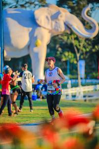 BIB: 
                            <button type="button" onclick="openModal(26183933)" class="btn btn-primary btn-sm float-right btn-popup" data-toggle="modal" data-target=".modal-high-quality">
                        <i class="fas fa-shopping-cart"></i> Add to Cart
                    </button>
                                            <button type="button" onclick="isThisMe(26183933, true)" class="btn btn-success btn-sm float-right btn-popup btn-isme hidden" data-toggle="tooltip" data-placement="bottom" title="นี่คือรูปของคุณใช่ไหม คลิกที่นี่เพื่อเอาเข้าอัลบั้ม">
                        <i class="fas fa-plus"></i> Add to album
                    </button>
                    <button type="button" onclick="isThisMe(26183933, false)" class="btn btn-warning btn-sm float-right btn-popup btn-isnotme hidden">
                        <i class="fas fa-ban"></i> Remove from album
                    </button>