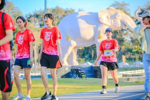 BIB: 
                            <button type="button" onclick="openModal(26183412)" class="btn btn-primary btn-sm float-right btn-popup" data-toggle="modal" data-target=".modal-high-quality">
                        <i class="fas fa-shopping-cart"></i> Add to Cart
                    </button>
                                            <button type="button" onclick="isThisMe(26183412, true)" class="btn btn-success btn-sm float-right btn-popup btn-isme hidden" data-toggle="tooltip" data-placement="bottom" title="นี่คือรูปของคุณใช่ไหม คลิกที่นี่เพื่อเอาเข้าอัลบั้ม">
                        <i class="fas fa-plus"></i> Add to album
                    </button>
                    <button type="button" onclick="isThisMe(26183412, false)" class="btn btn-warning btn-sm float-right btn-popup btn-isnotme hidden">
                        <i class="fas fa-ban"></i> Remove from album
                    </button>