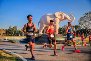 BIB: 
                            <button type="button" onclick="openModal(26186373)" class="btn btn-primary btn-sm float-right btn-popup" data-toggle="modal" data-target=".modal-high-quality">
                        <i class="fas fa-shopping-cart"></i> Add to Cart
                    </button>
                                            <button type="button" onclick="isThisMe(26186373, true)" class="btn btn-success btn-sm float-right btn-popup btn-isme hidden" data-toggle="tooltip" data-placement="bottom" title="นี่คือรูปของคุณใช่ไหม คลิกที่นี่เพื่อเอาเข้าอัลบั้ม">
                        <i class="fas fa-plus"></i> Add to album
                    </button>
                    <button type="button" onclick="isThisMe(26186373, false)" class="btn btn-warning btn-sm float-right btn-popup btn-isnotme hidden">
                        <i class="fas fa-ban"></i> Remove from album
                    </button>