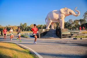 BIB: 
                            <button type="button" onclick="openModal(26186420)" class="btn btn-primary btn-sm float-right btn-popup" data-toggle="modal" data-target=".modal-high-quality">
                        <i class="fas fa-shopping-cart"></i> Add to Cart
                    </button>
                                            <button type="button" onclick="isThisMe(26186420, true)" class="btn btn-success btn-sm float-right btn-popup btn-isme hidden" data-toggle="tooltip" data-placement="bottom" title="นี่คือรูปของคุณใช่ไหม คลิกที่นี่เพื่อเอาเข้าอัลบั้ม">
                        <i class="fas fa-plus"></i> Add to album
                    </button>
                    <button type="button" onclick="isThisMe(26186420, false)" class="btn btn-warning btn-sm float-right btn-popup btn-isnotme hidden">
                        <i class="fas fa-ban"></i> Remove from album
                    </button>