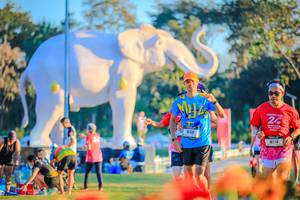 BIB: 
                            <button type="button" onclick="openModal(26183959)" class="btn btn-primary btn-sm float-right btn-popup" data-toggle="modal" data-target=".modal-high-quality">
                        <i class="fas fa-shopping-cart"></i> Add to Cart
                    </button>
                                            <button type="button" onclick="isThisMe(26183959, true)" class="btn btn-success btn-sm float-right btn-popup btn-isme hidden" data-toggle="tooltip" data-placement="bottom" title="นี่คือรูปของคุณใช่ไหม คลิกที่นี่เพื่อเอาเข้าอัลบั้ม">
                        <i class="fas fa-plus"></i> Add to album
                    </button>
                    <button type="button" onclick="isThisMe(26183959, false)" class="btn btn-warning btn-sm float-right btn-popup btn-isnotme hidden">
                        <i class="fas fa-ban"></i> Remove from album
                    </button>