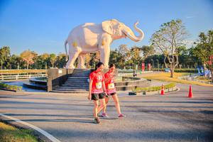 BIB: 
                            <button type="button" onclick="openModal(26186677)" class="btn btn-primary btn-sm float-right btn-popup" data-toggle="modal" data-target=".modal-high-quality">
                        <i class="fas fa-shopping-cart"></i> Add to Cart
                    </button>
                                            <button type="button" onclick="isThisMe(26186677, true)" class="btn btn-success btn-sm float-right btn-popup btn-isme hidden" data-toggle="tooltip" data-placement="bottom" title="นี่คือรูปของคุณใช่ไหม คลิกที่นี่เพื่อเอาเข้าอัลบั้ม">
                        <i class="fas fa-plus"></i> Add to album
                    </button>
                    <button type="button" onclick="isThisMe(26186677, false)" class="btn btn-warning btn-sm float-right btn-popup btn-isnotme hidden">
                        <i class="fas fa-ban"></i> Remove from album
                    </button>